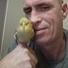 Фотография мужчины Сергей, 44 года из г. Комсомольск-на-Амуре