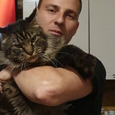 Фотография мужчины Дмитрий, 36 лет из г. Тула