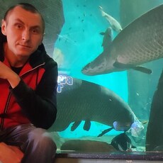Фотография мужчины Николай, 34 года из г. Новороссийск