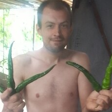 Фотография мужчины Дима, 31 год из г. Новомосковск