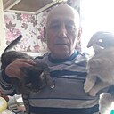 Видади, 64 года