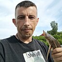 Алексей, 37 лет