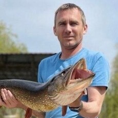 Фотография мужчины Дмитрий, 44 года из г. Новороссийск