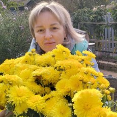 Фотография девушки Людмила, 44 года из г. Йошкар-Ола