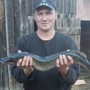 Евгений, 41 год