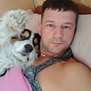 Александр, 41 год