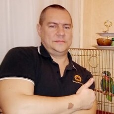 Фотография мужчины Игорь, 42 года из г. Курск