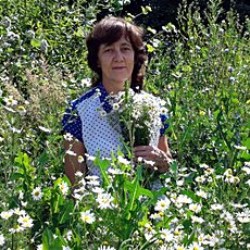 Фотография девушки Наталия, 63 года из г. Ульяновск