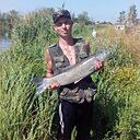 Александр, 36 лет