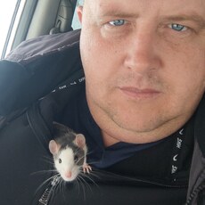 Фотография мужчины Алексей, 41 год из г. Тулун