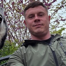 Фотография мужчины Андрей, 42 года из г. Балашиха