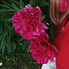 Фотография девушки Mary, 38 лет из г. Липецк