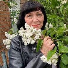 Фотография девушки Светлана, 48 лет из г. Белгород