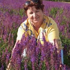 Фотография девушки Светлана, 54 года из г. Константиновск