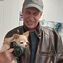 Владимир, 65 лет