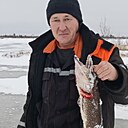 Миша, 43 года