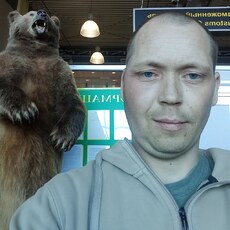 Фотография мужчины Николай, 35 лет из г. Хабаровск