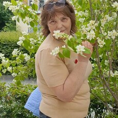 Фотография девушки Марина, 59 лет из г. Тольятти