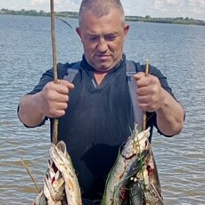 Фотография мужчины Алекs, 45 лет из г. Тобольск