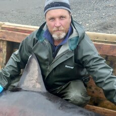 Фотография мужчины Андрей, 52 года из г. Миасс