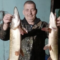 Фотография мужчины Сергей, 47 лет из г. Курск