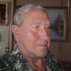 Фотография мужчины Дмитрий, 62 года из г. Петропавловск-Камчатский