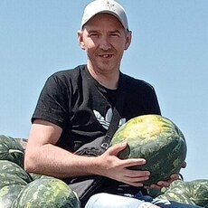 Фотография мужчины Александр, 44 года из г. Кострома