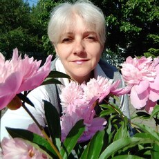 Фотография девушки Светлана, 56 лет из г. Минск