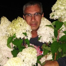Дмитрий, 51 из г. Улан-Удэ.