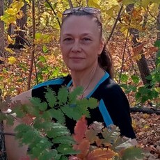 Фотография девушки Наталья, 46 лет из г. Барнаул