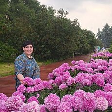 Фотография девушки Анастасия, 41 год из г. Сергиев Посад