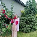 Ирина, 47 лет