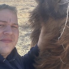 Фотография мужчины Алексей, 34 года из г. Нерюнгри