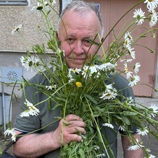 Фотография мужчины Виктор, 65 лет из г. Тамбов
