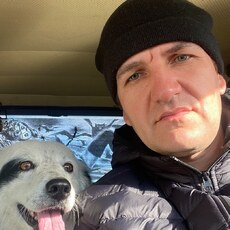 Фотография мужчины Дмитрий, 38 лет из г. Шахты