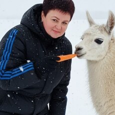 Фотография девушки Елена, 52 года из г. Воронеж