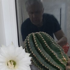 Фотография мужчины Вячеслав, 63 года из г. Караганда