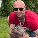 Лев, 38 лет