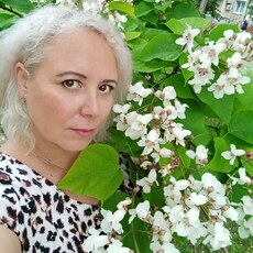 Фотография девушки Нина, 37 лет из г. Старый Оскол