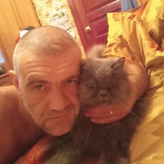 Фотография мужчины Петр, 45 лет из г. Химки