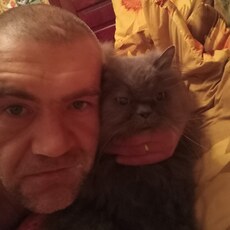 Фотография мужчины Петр, 45 лет из г. Химки