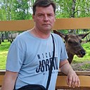Владимир, 40 лет