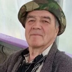 Фотография мужчины Виктор, 67 лет из г. Саров