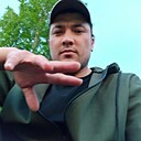 Лев, 33 года