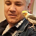 Алексей, 44 года
