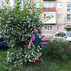 Фотография девушки Светлана, 54 года из г. Пермь