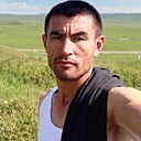 Джалоли, 34 года