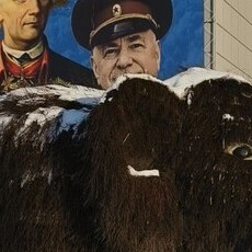 Фотография мужчины Ник, 47 лет из г. Мирный (Якутия)