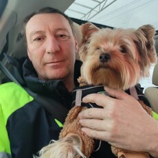 Фотография мужчины Василий, 46 лет из г. Волжск