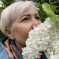 Фотография девушки Светлана, 56 лет из г. Новый Уренгой